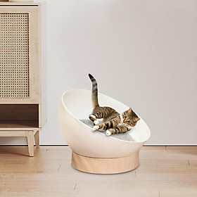 Cat Bed Comfortable Creative Kitten Mat Pet Supplies Pet Bed for Indoor Cats