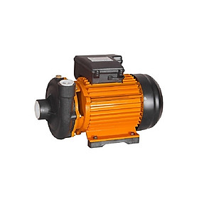 Mua Máy bơm nước sutudo - Lưu lượng BL100 (1HP) - Ống 60/49 - Dây đồng