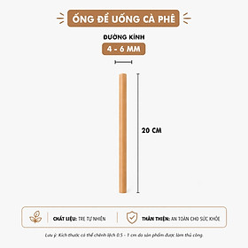 Mua Combo 50 ống hút tre tái sử dụng dùng cho ly cao nước ép sinh tố