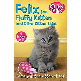 Hình ảnh sách Felix The Fluffy Kitten And Other Kitten Tales