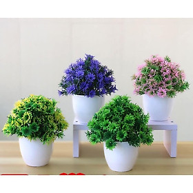 Mua Cây hoa giả  chậu hoa để bàn  kệ tủ trang trí nội thất (tặng kèm chậu nhựa)