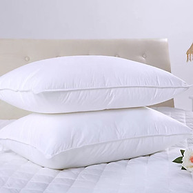 Mua 2 Ruột Gối hơi Cao Cấp Làm Từ Bông Trắng 40 x60cm