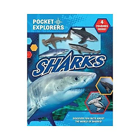 Hình ảnh sách Sharks Pocket Explorers