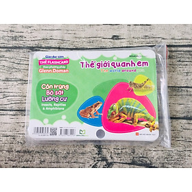 Thẻ Flashcard Theo Phương Pháp Glenn Doman - Thế Giới Quanh Em: Côn Trùng - Bò Sát - Lưỡng Cư