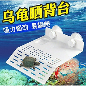 Mua Bệ Phơi nắng cho rùa- Máng đứng gắn thành bể cho rùa phơi nắng-Tấm nhựa cho rùa phơi nắng