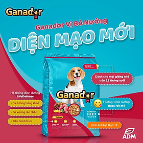 Thức Ăn Hạt Cho Chó Lớn Vị Thịt Bò Ganador Adult Roasted Beef Gói 3kg - Gói 3kg