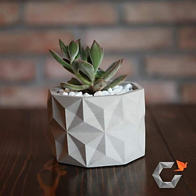 Chậu trồng sen đá , xương rồng, bonsai cây cảnh bằng xi măng Model Origami hình trụ tròn 11x8.5cm- Cement pots handmade Vintage / gift