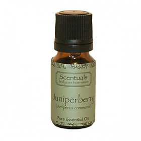 Tinh dầu cây bách xù - Pure essential oil 10 ml - JUNIPPER BERRY