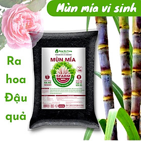 Mua Phân mùn mía SFARM tăng tỉ lệ ra hoa đậu trái kích rễ mầm túi 2kg
