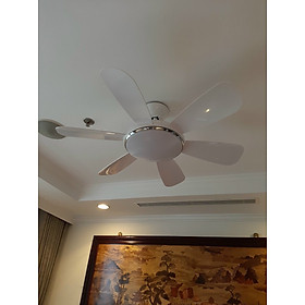 Mua Quạt trần có đèn trang trí  sải cánh 1.32m  động cơ DC tiết kiệm điện thế hệ mới  có điều khiển từ xa