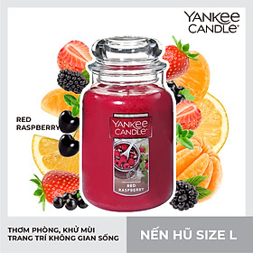 Mua Nến hũ Yankee Candle size L - Red Raspberry (623g)