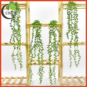 Mua Hoa giả  chùm sen đá giọt nước 80cm trang trí nhà cửa  cửa hàng  văn phòng  lớp học