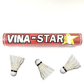 Cầu lông Vina/Star đỏ, ống 12 quả