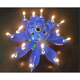 Mua NẾN SINH NHẬT 3D NỞ HOA PHÁT NHẠC