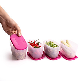 Bộ 4 Hộp Đựng Thực Phẩm Tupperware Trữ Đông Gen I Mini 300ml Sheer Fdust
