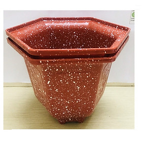 2 Chậu Nhựa Trồng Hoa Cây Cảnh Lục Giác 18 Đá Đỏ
