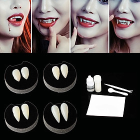 Bộ răng giả hóa trang Dracula ma cà rồng lễ hội Halloween