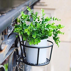Mua Giỏ sắt treo chậu cây ban công  hàng rào - Sắt sơn tĩnh điện -Gia Dụng Mai Chi