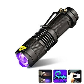 Mua Đèn pin tia cực tím UV LED Q5