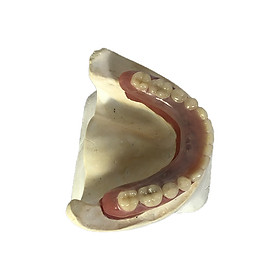 Shijiayichi Trồng thẻ cột bao gồm răng nghĩa vụ