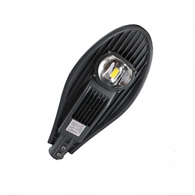 Mua Đèn LED chiếu sáng đường 30W Rạng Đông  Model D CSD02L/30w