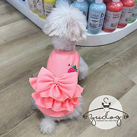 ĐẦM THUN PHỐI BÈO DỄ THƯƠNG CHO THÚ CƯNG CHÓ MÈO