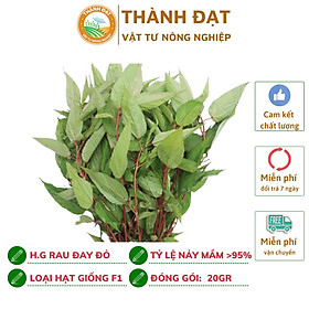 Mua Hạt giống rau đay đỏ cao sản gói 20gr