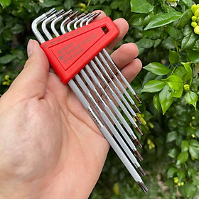 BỘ LỤC GIÁC BÔNG HOA THỊ 8 CHI TIẾT, THÂN NHÁM PB 3411.H 6-25