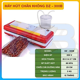 Mua Máy hút chân không DZ300B có hút nước