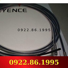 Giá Tốt + Cảm Biến Keyence Cảm Biến Sợi Quang EH-910 hàng mới