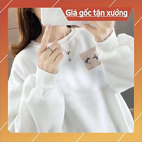Áo sweater nỉ đôi bạn
