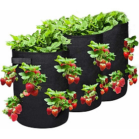 Túi trồng dâu, túi thực vật có 2 tay cầm và 8 túi canh tác bên, túi trồng, túi trồng, dâu tây, cà chua, tỏi, hành tây - rất nhiều 3 (10 gal