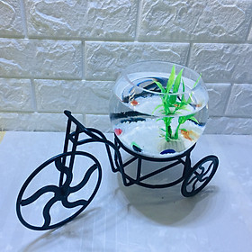 Bể cá mini để bàn xe đạp