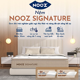 Mua Nệm Foam NOOZ Signature Đệm Cao Su Thiên Nhiên Và Lò Xo Túi Nâng Đỡ 7 Vùng Cơ Thể NOOZ Home Goods
