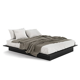Mua ROBECCA  Giường ngủ hiện đại BED_153  205x25cm