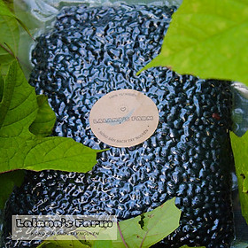Mua 1Kg Hạt Đậu Đen Xanh Lòng Thuần Chủng làm giá đỗ - Lalana s Farm
