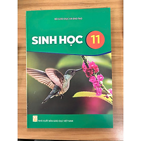 Sách giáo khoa Sinh Học 11- Kết Nối Tri Thức Với Cuộc Sống (Kèm Nilon bọc Sách, nhãn tên)