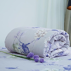 Mua Chăn hè Microfiber Everon Lite ELM 200 x 220cm