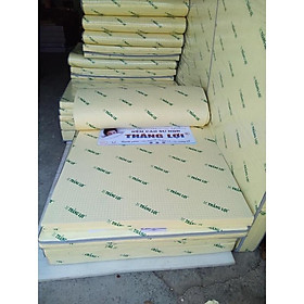 Mua Nệm cao su non thắng lợi đủ kích thước 1m-2m2 15cm (Fship Sài Gòn)