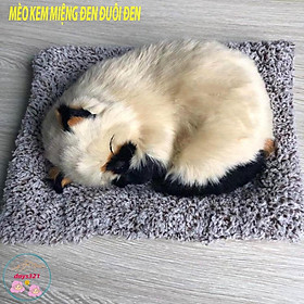 Mua Mèo kem miệng đen đuôi đen thú bông than hoạt tính trang trí ô tô phòng làm việc bàn học tập khử khuẩn