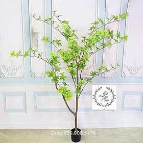 Mua Cây thạch nam giả cao 123cm decor siêu xinh giống thật 99%