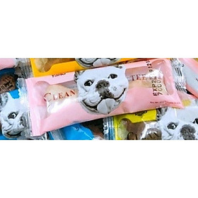 hàng rào điện tử cho chó thú cưng tàng hình hàng rào huấn luyện 