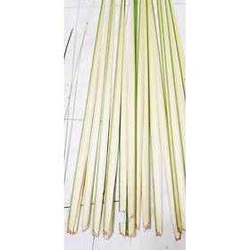 Mua 50 cọng lá dừa non/ Lá dừa thủ công