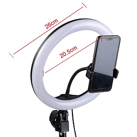 Mua ĐÈN LED RING RL-12 ĐIỀU CHỈNH 3 NHIỆT MÀU QUAY  CHỤP  MAKEUP
