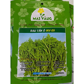 Hạt giống Rau Tần Ô 20g