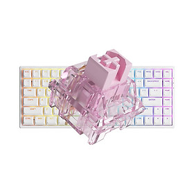 Bàn phím AKKO 3084 v2 RGB Black/White (Mới, hàng chính hãng)