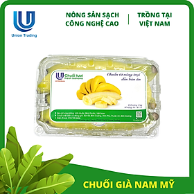 Chuối Tươi Union Trading - Hộp 1Kg - Thơm Dẻo, Giàu Dinh Dưỡng