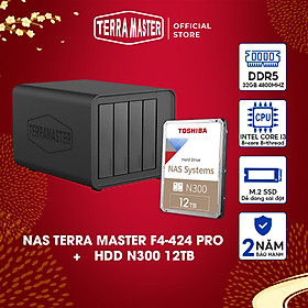 Mua Bộ Ổ cứng mạng NAS TerraMaster F4-424 Pro+N300 12T Hàng chính hãng