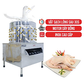 Nồi Nấu Phở Điện NEWSUN 60L