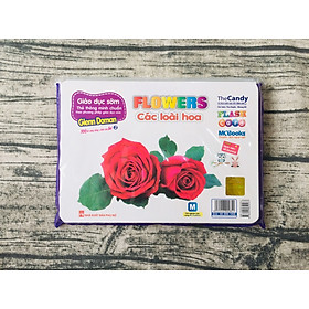 Flashcard Dạy Trẻ Theo Phương Pháp Glenn Doman - Các Loài Hoa